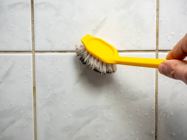 Best Mold Testing  in South Gate, CA