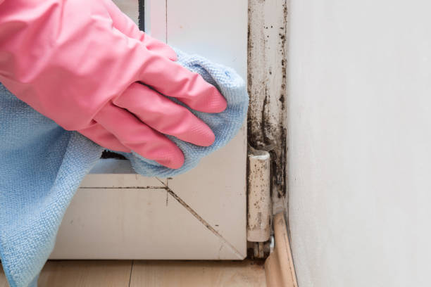 Water Damage Restoration in South Gate, CA